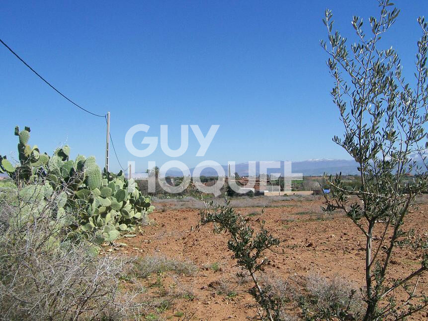 Terrain titré 10 200 m²