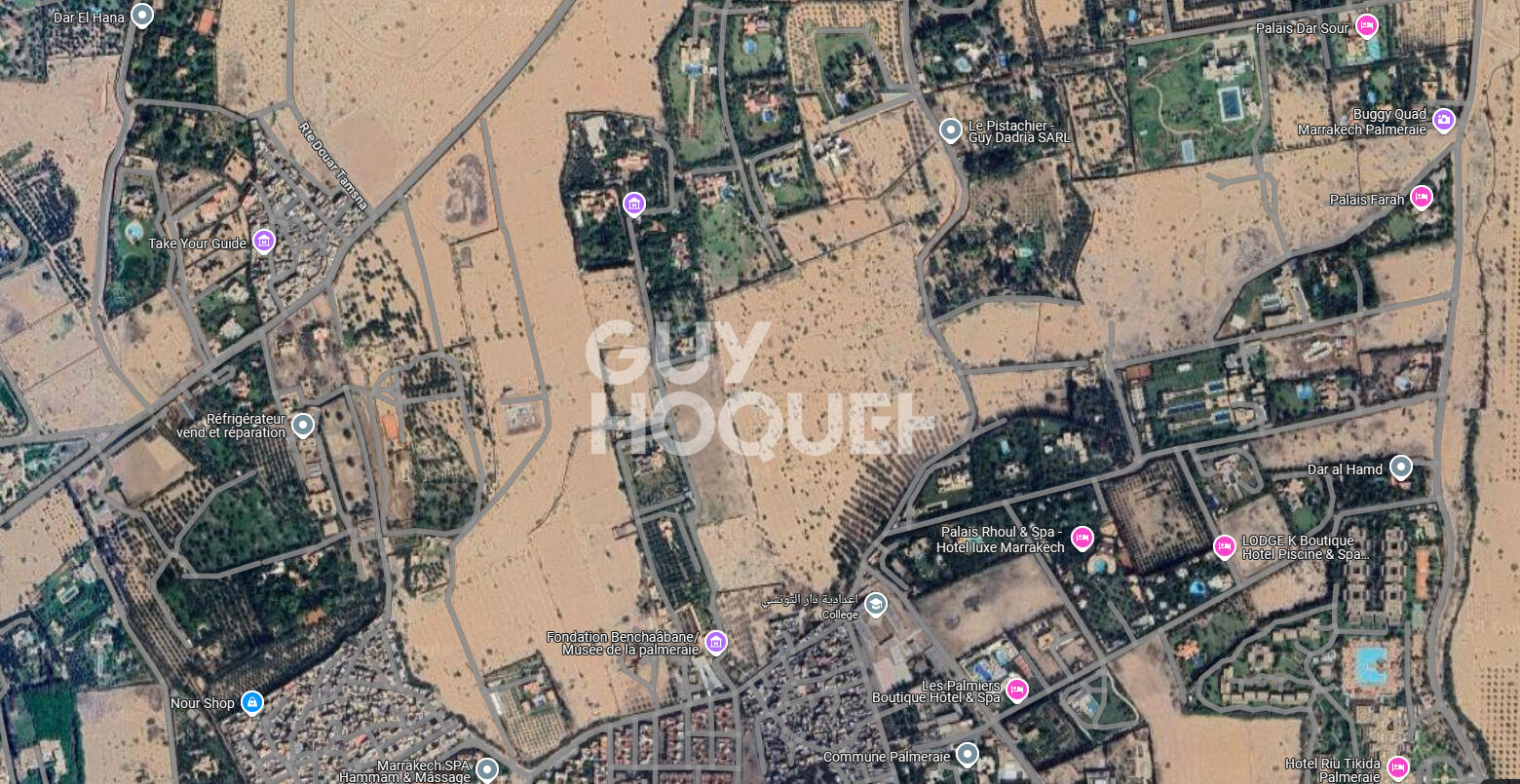 ACHAT/VENTE  PALMERAIE! Terrain de 10006 m2 au km6