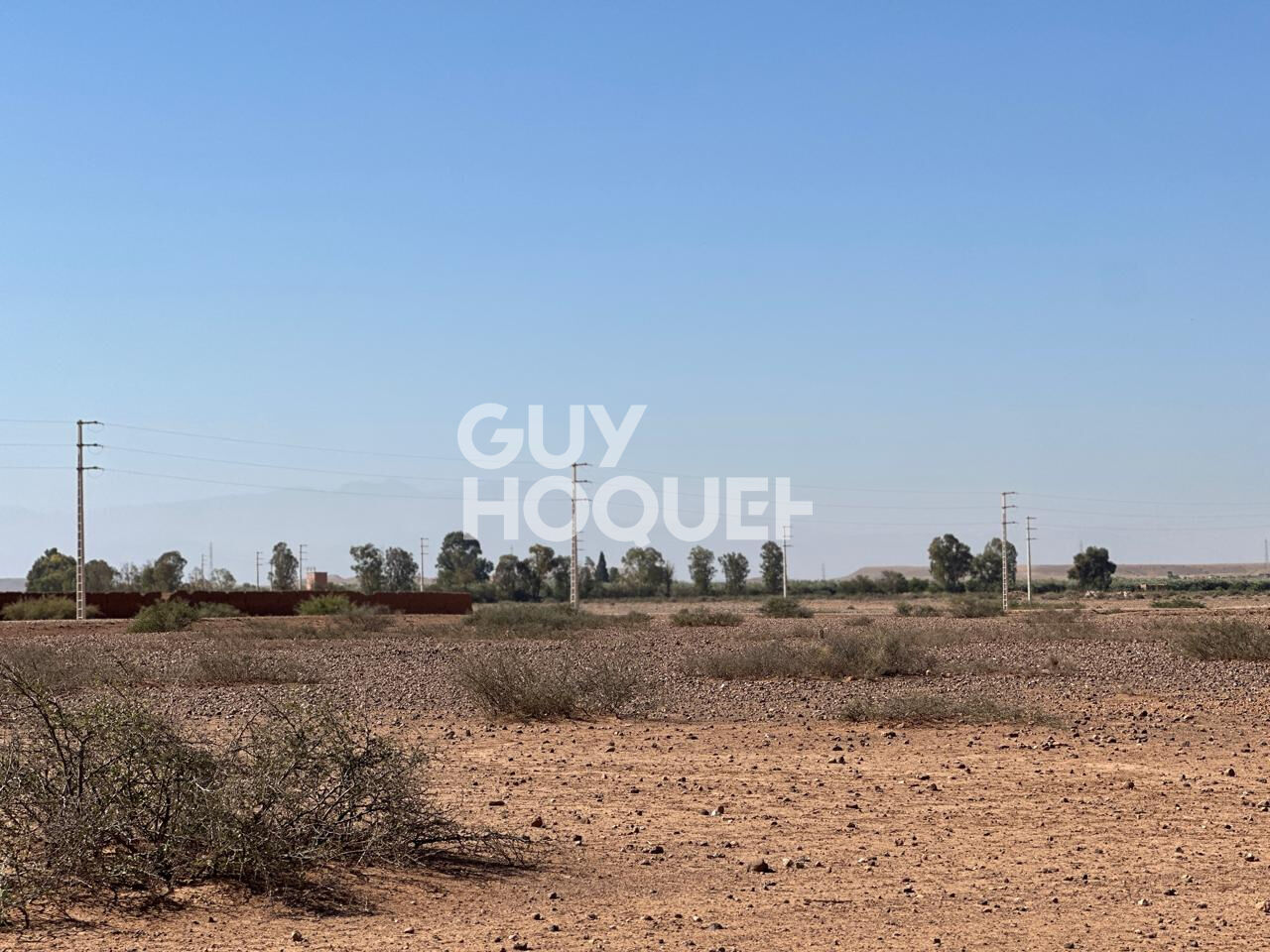 En exclusivité  / Terrain à vendre /1 hectare / Route de d'Amezmiz  Commune de TAMESLOUHT