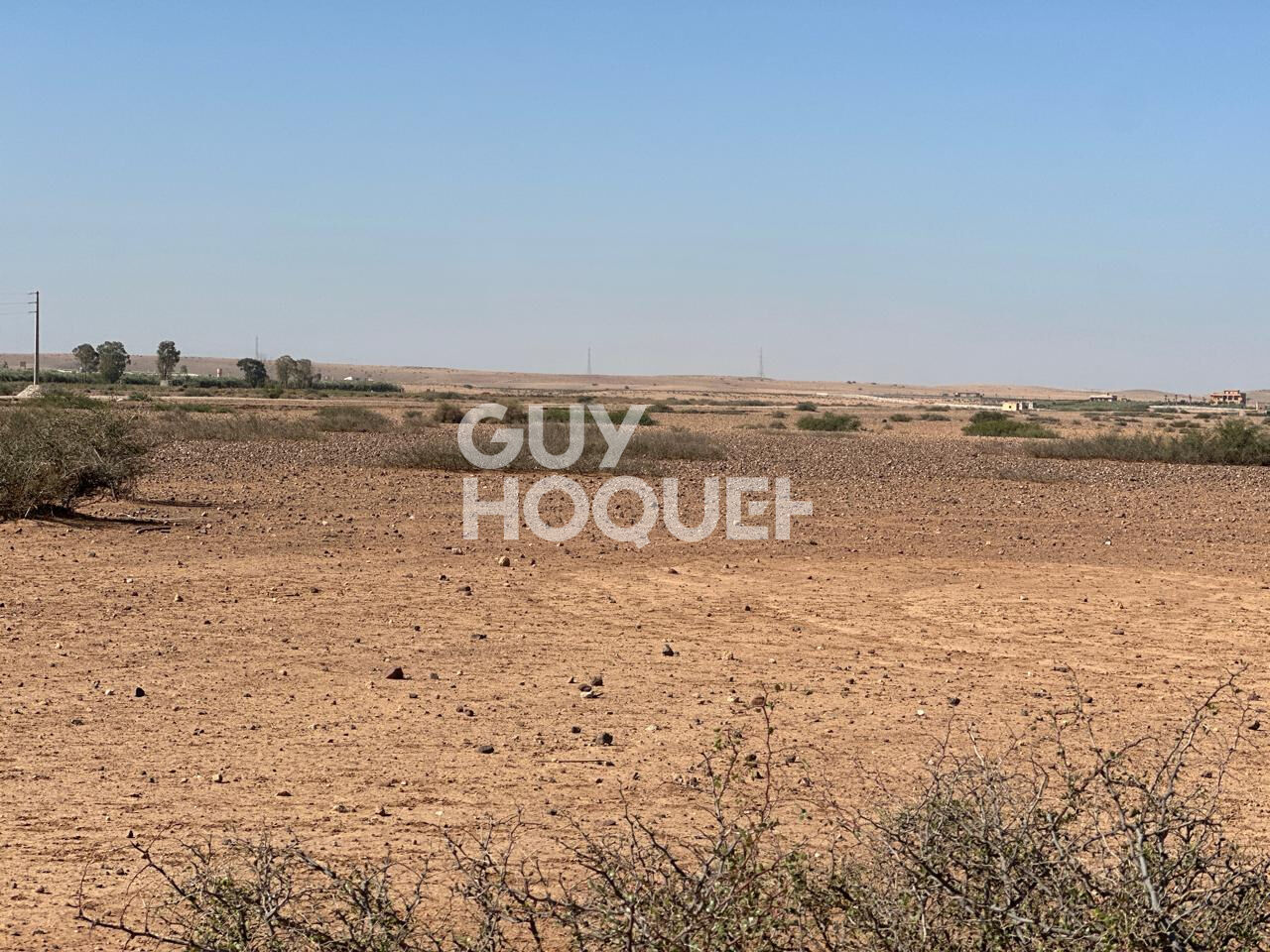 En exclusivité  / Terrain à vendre /1 hectare / Route de d'Amezmiz  Commune de TAMESLOUHT