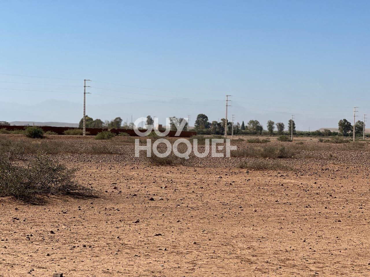 En exclusivité  / Terrain à vendre /1 hectare / Route de d'Amezmiz  Commune de TAMESLOUHT