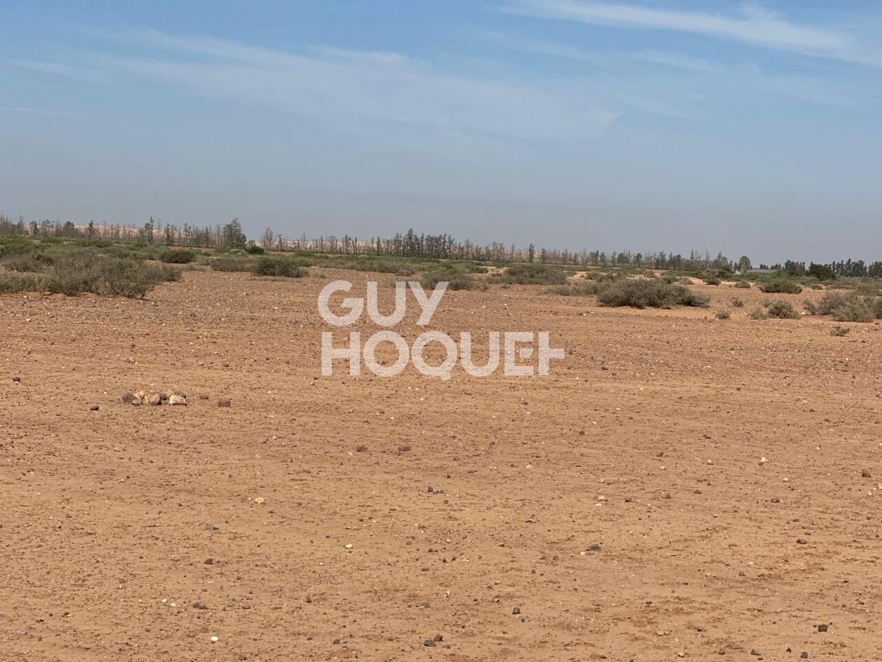 En exclusivité  / Terrain à vendre /1 hectare / Route de d'Amezmiz  Commune de TAMESLOUHT