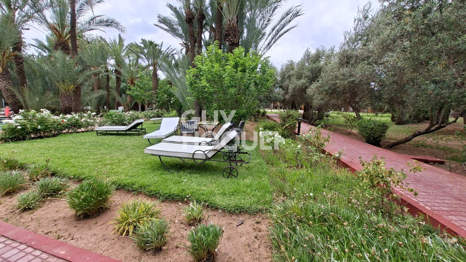 ACHAT VENTE APPARTEMENT PISCINE PALMERAIE