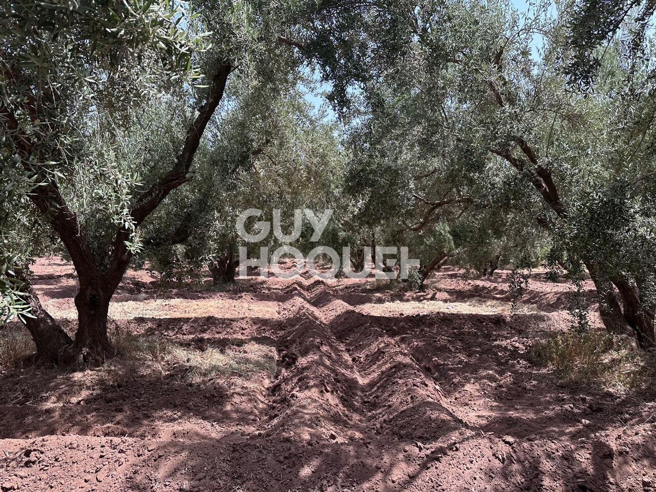 À Vendre / Ferme d'Exception de 9 Hectares et 3 190 m² / Route de Targa, secteur Souihla, Marrakech