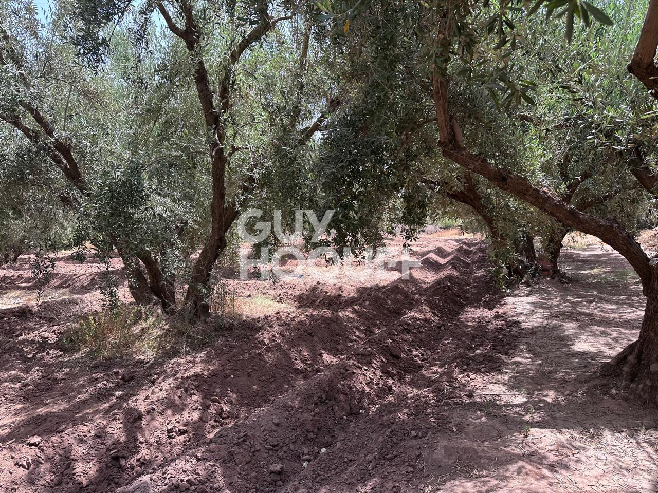 À Vendre / Ferme d'Exception de 9 Hectares et 3 190 m² / Route de Targa, secteur Souihla, Marrakech