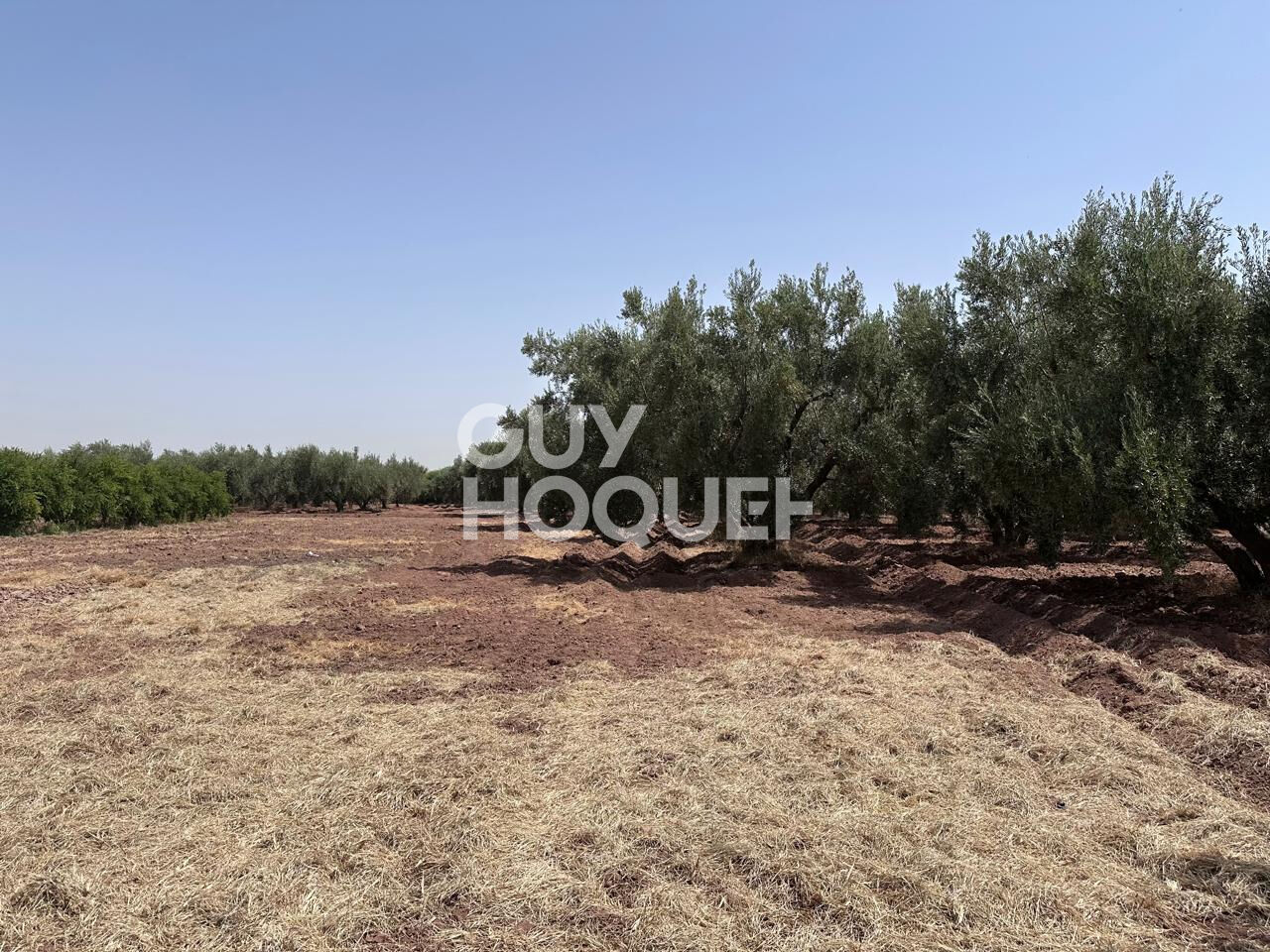 À Vendre / Ferme d'Exception de 9 Hectares et 3 190 m² / Route de Targa, secteur Souihla, Marrakech