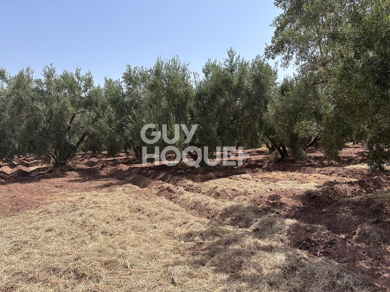 À Vendre / Ferme d'Exception de 9 Hectares et 3 190 m² / Route de Targa, secteur Souihla, Marrakech