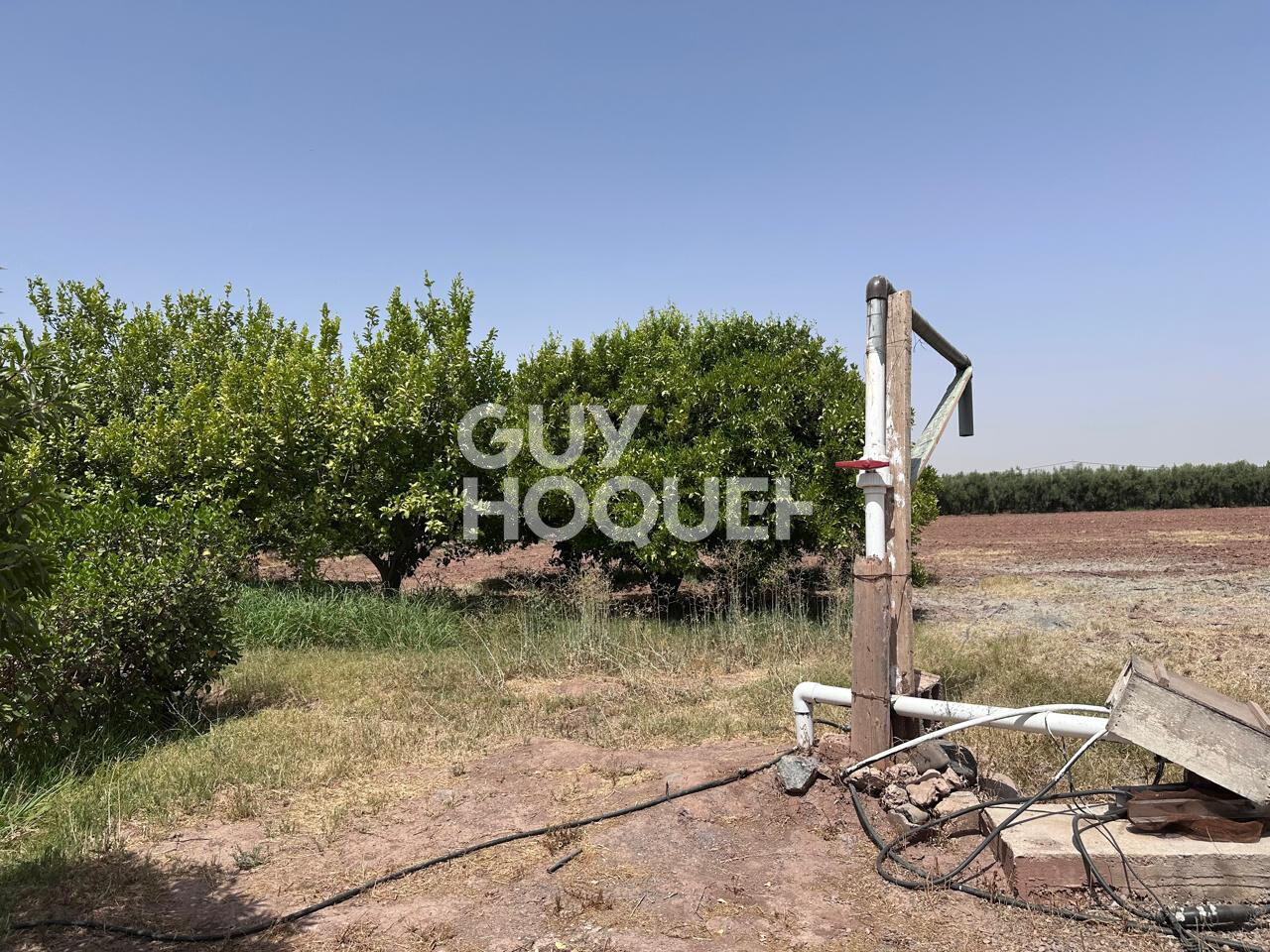 À Vendre / Ferme d'Exception de 9 Hectares et 3 190 m² / Route de Targa, secteur Souihla, Marrakech