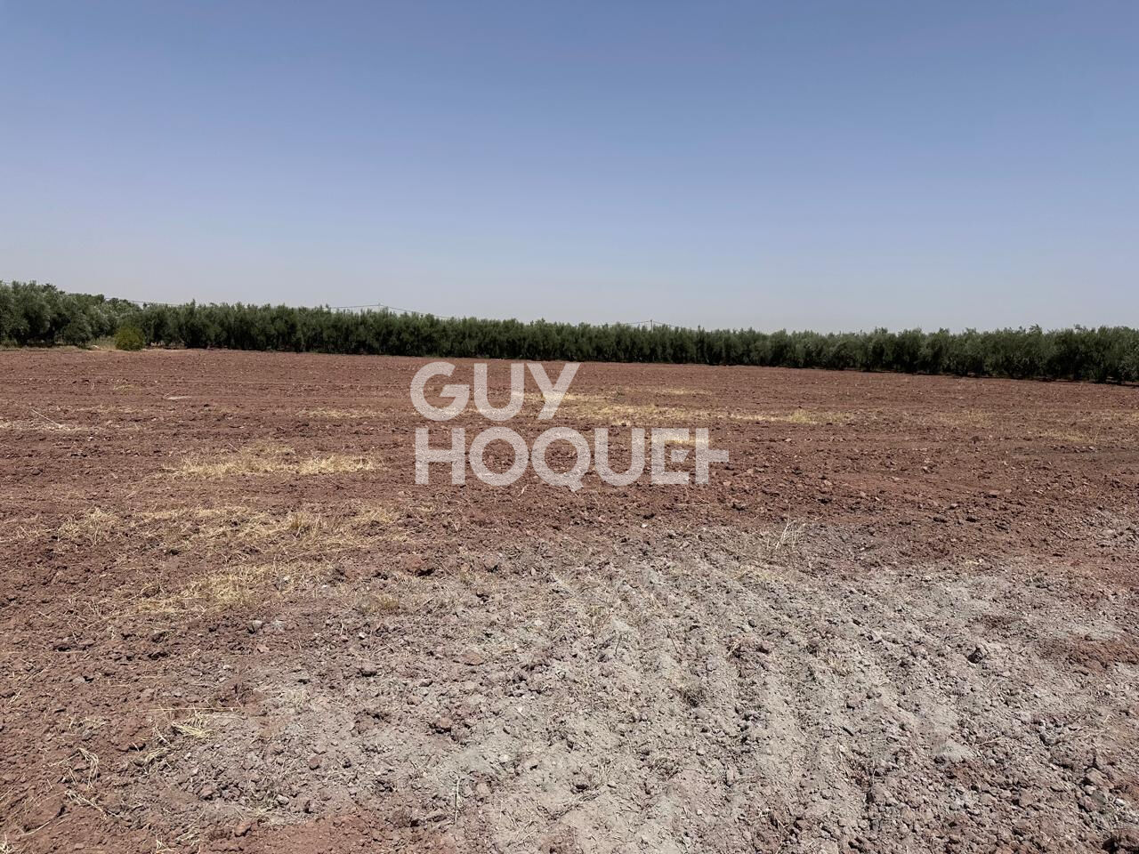 À Vendre / Ferme d'Exception de 9 Hectares et 3 190 m² / Route de Targa, secteur Souihla, Marrakech