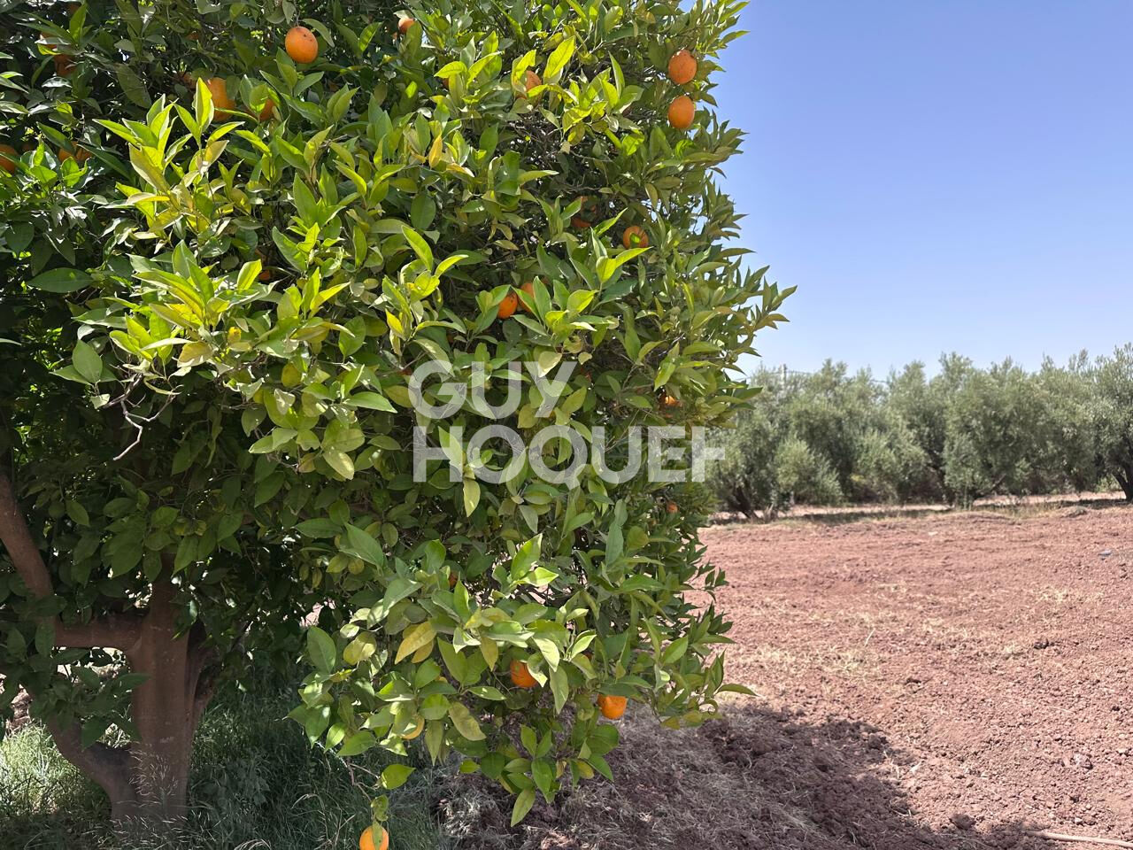 À Vendre / Ferme d'Exception de 9 Hectares et 3 190 m² / Route de Targa, secteur Souihla, Marrakech