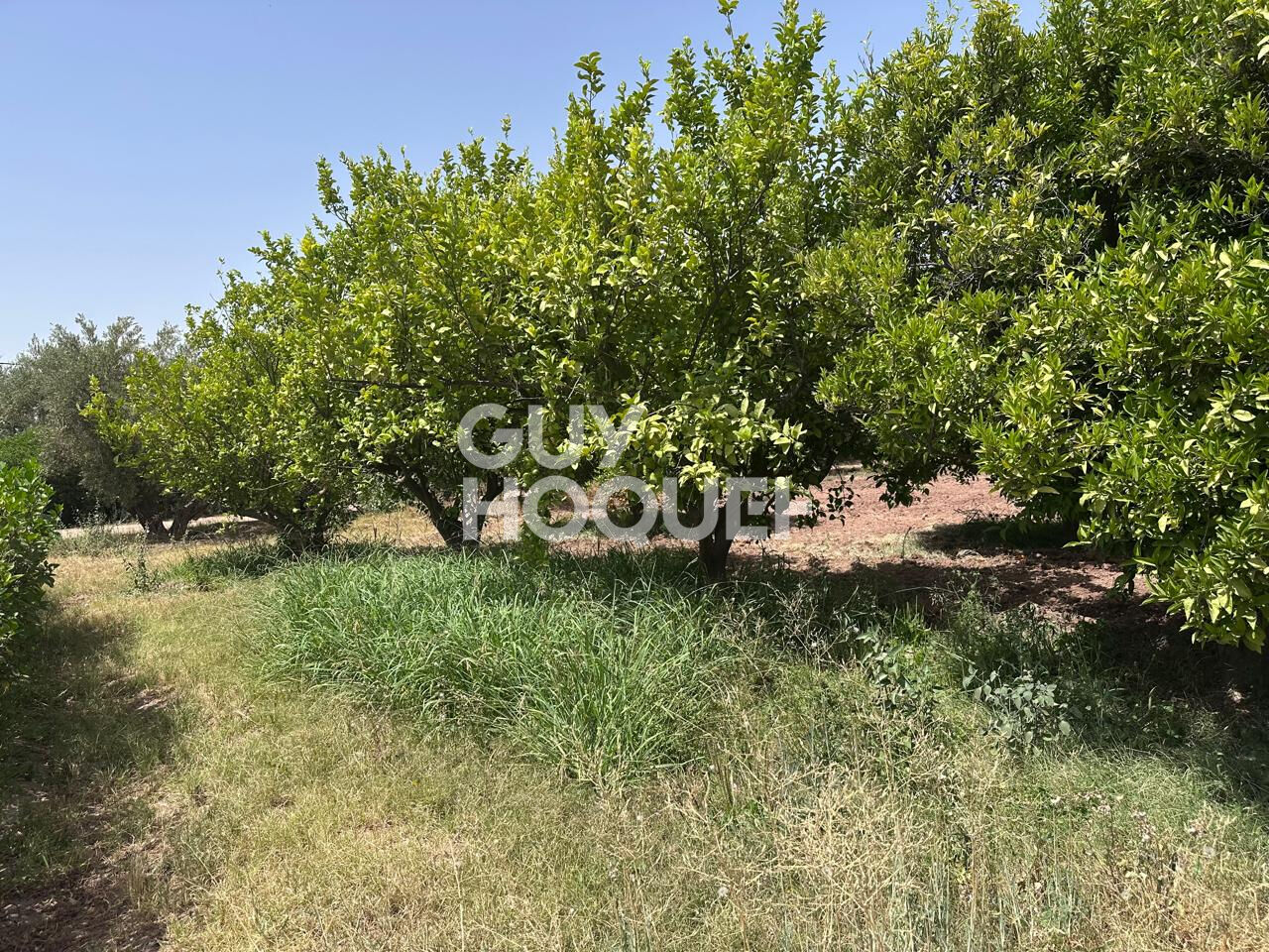À Vendre / Ferme d'Exception de 9 Hectares et 3 190 m² / Route de Targa, secteur Souihla, Marrakech