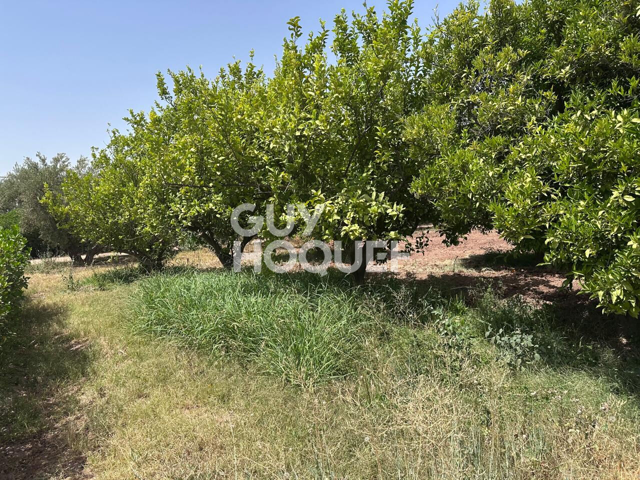 À Vendre / Ferme d'Exception de 9 Hectares et 3 190 m² / Route de Targa, secteur Souihla, Marrakech