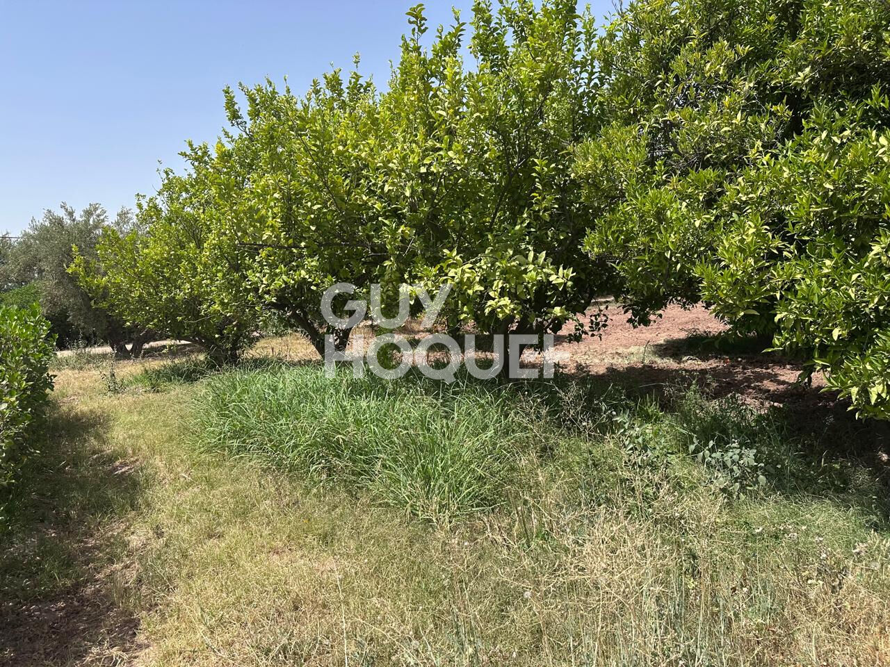 À Vendre / Ferme d'Exception de 9 Hectares et 3 190 m² / Route de Targa, secteur Souihla, Marrakech