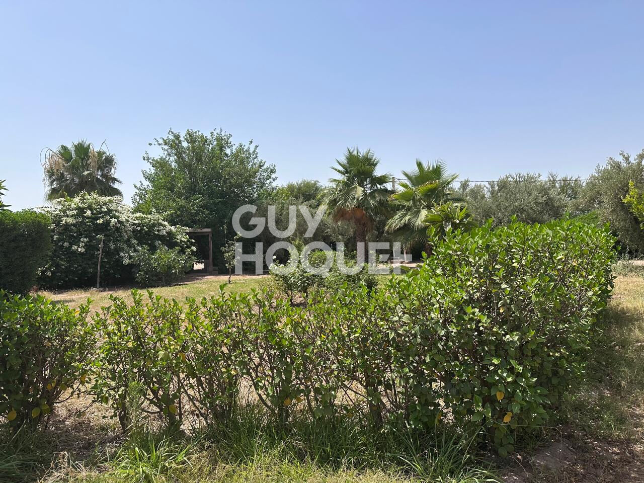 À Vendre / Ferme d'Exception de 9 Hectares et 3 190 m² / Route de Targa, secteur Souihla, Marrakech