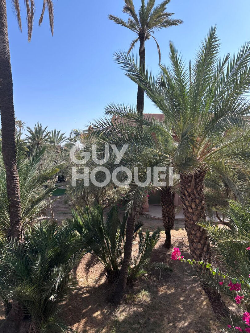 Appartement 3 pièces à louer à Marrakech - Palmeraie