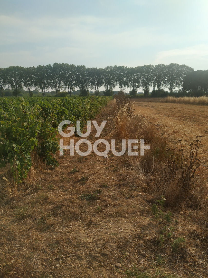 Terrain Mauguio 2909 m2