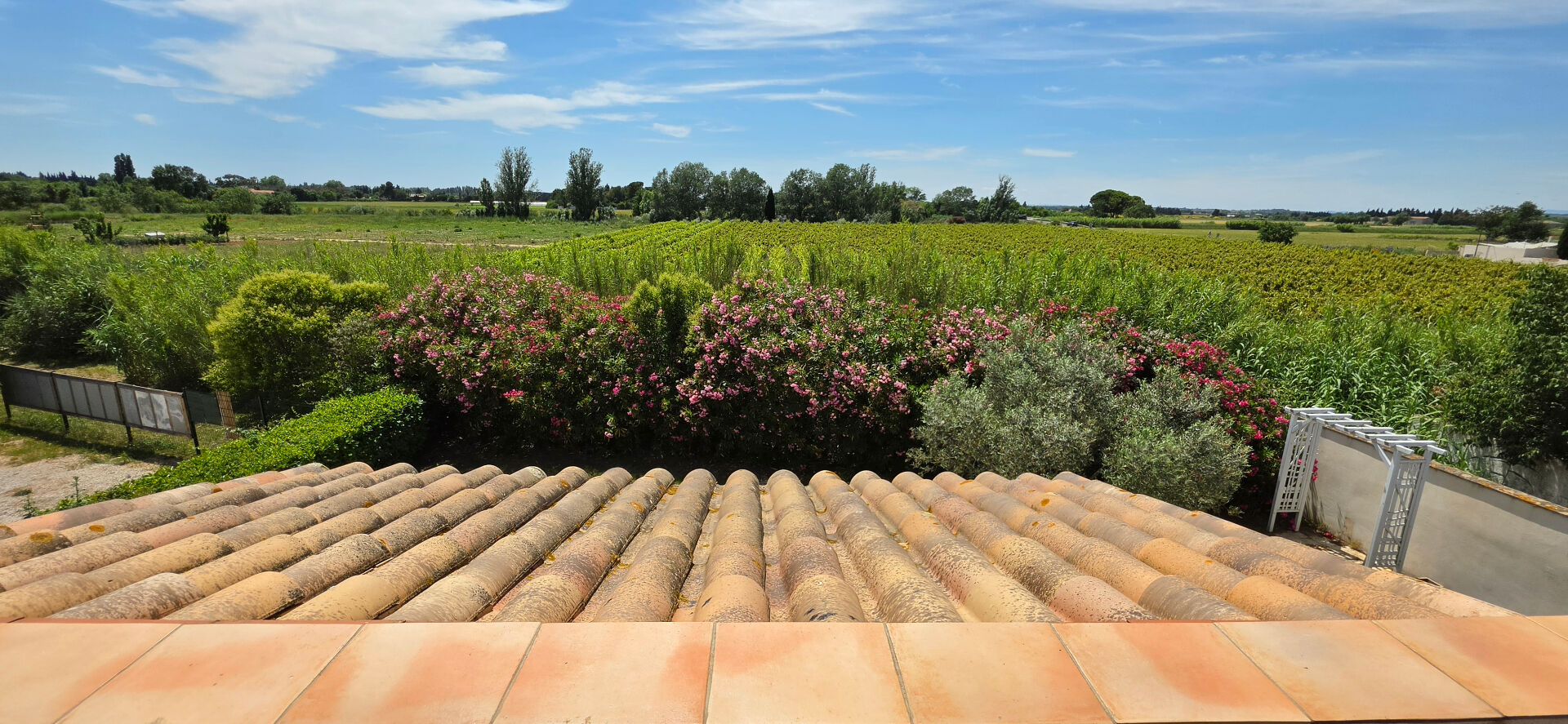 EXCLUSIVITE - Mauguio maison d'architecte de 162 m² sur un terrain de 770m² avec grand garage