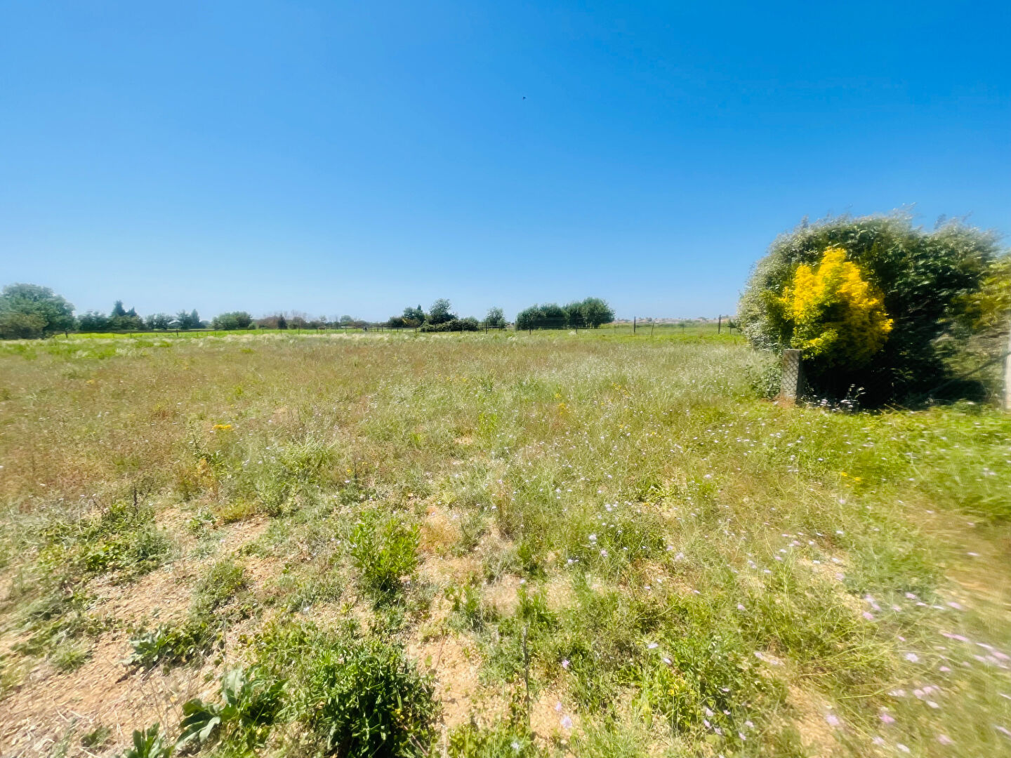MAUGUIO terrain de loisir  7121m2  arboré avec forage, cabanon, arceau de serre , 2 entrées