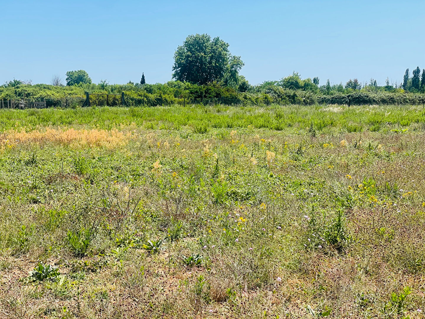 MAUGUIO terrain de loisir  7121m2  arboré avec forage, cabanon, arceau de serre , 2 entrées