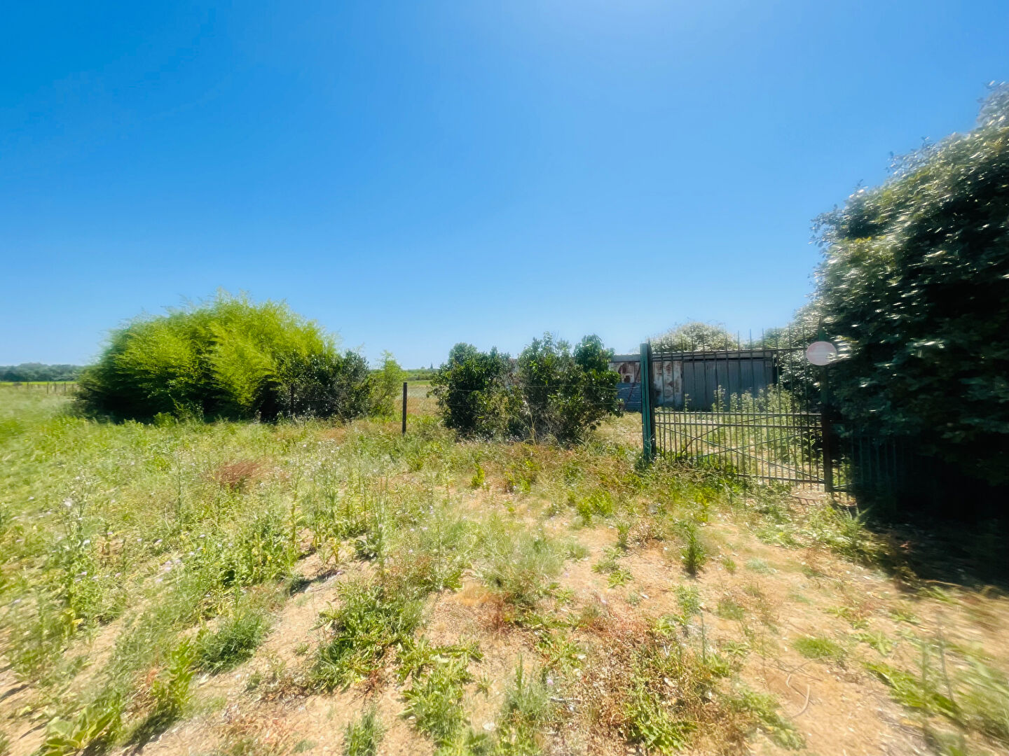 MAUGUIO terrain de loisir  7121m2  arboré avec forage, cabanon, arceau de serre , 2 entrées