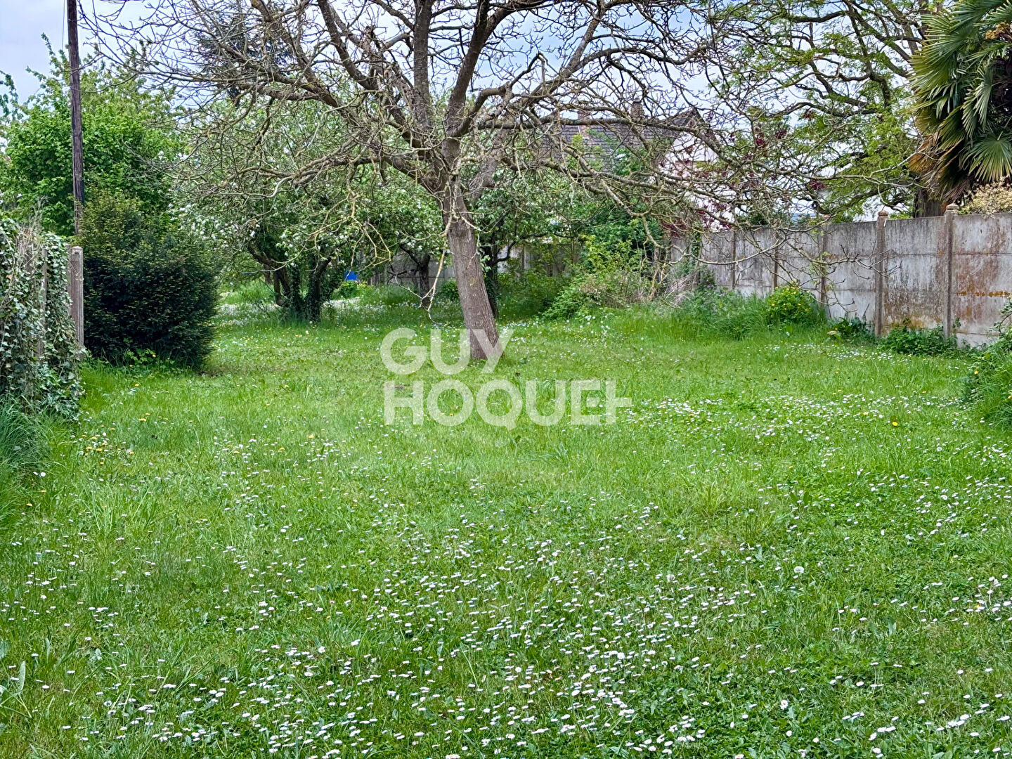 Terrain à vendre à Chevannes - Référence 3878