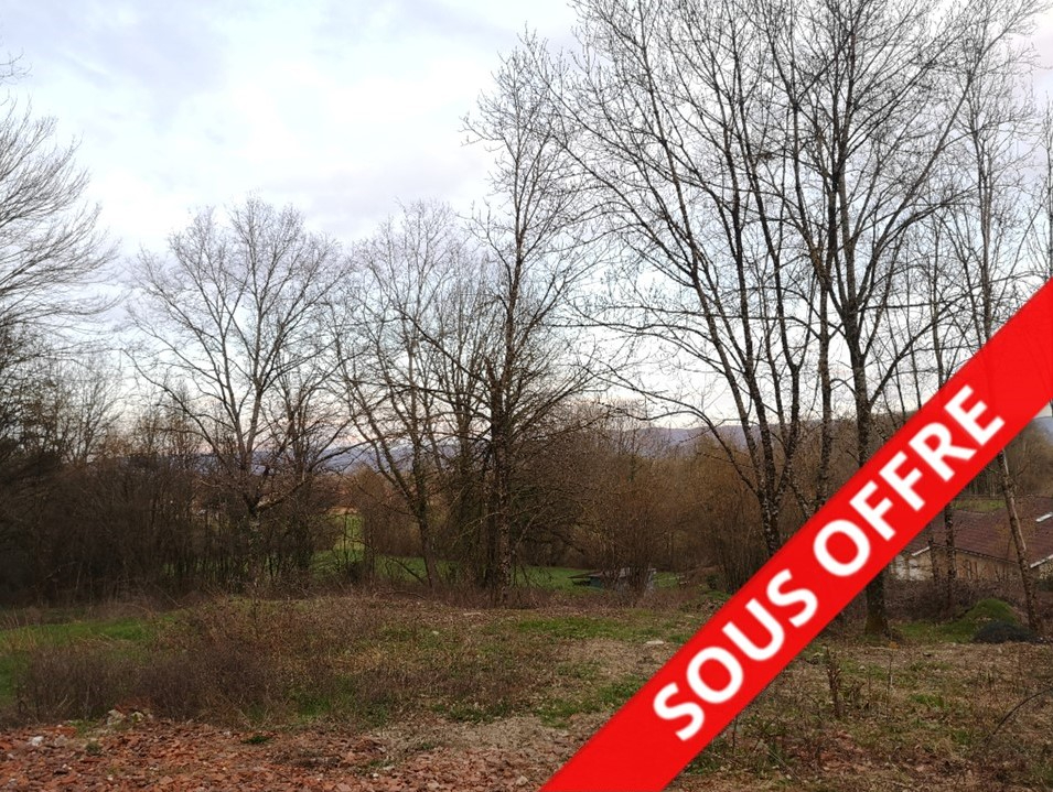 Terrain Chatillon La Palud 780 m2