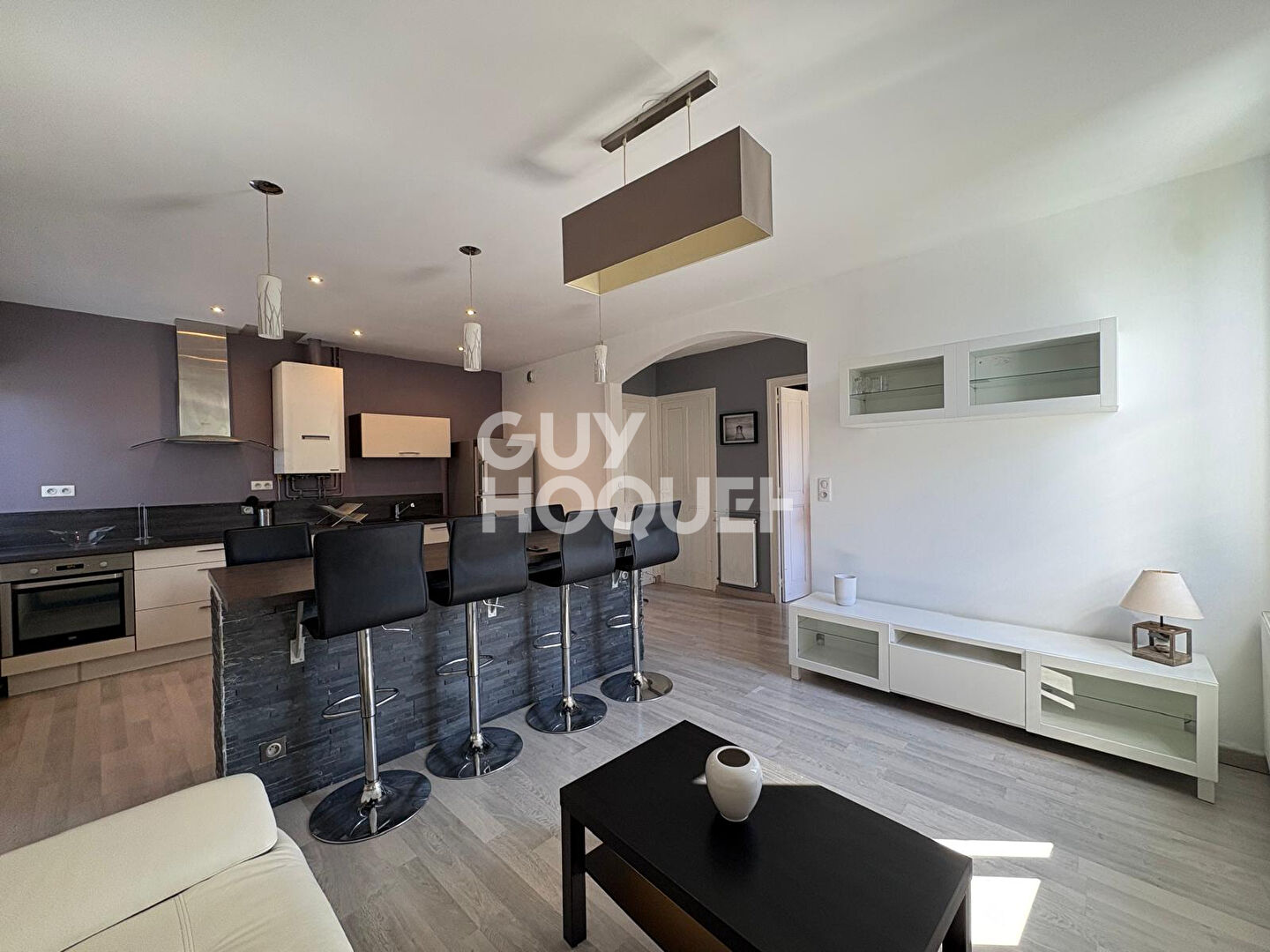 Bel Appartement  2 pièces  meublé