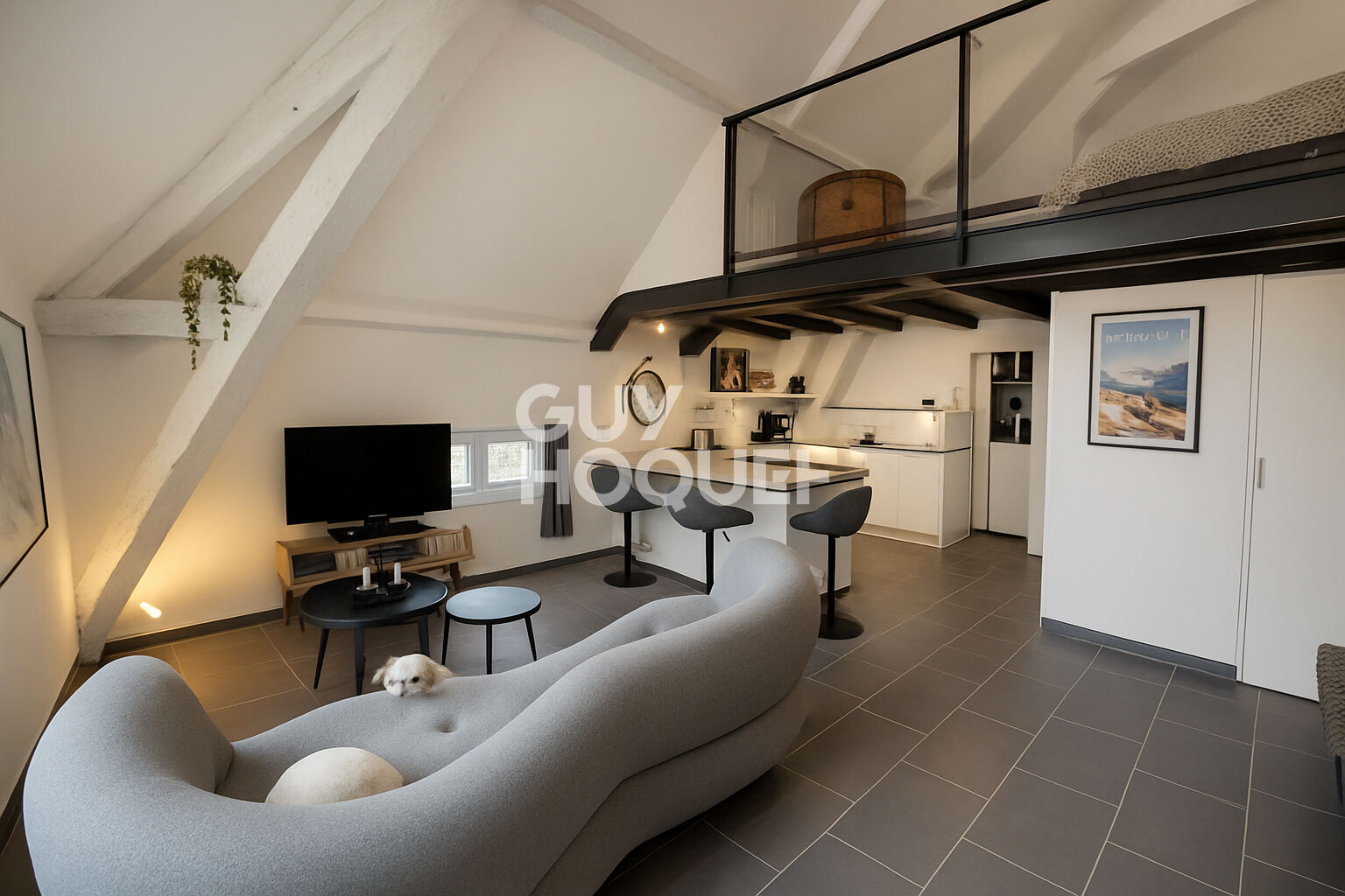 APPARTEMENT DE CHARME . DERNIER ÉTAGE  . RÉSIDENCE BOURGEOISE AU CALME ABSOLU . TASSIN-LA-DEMI-LUNE