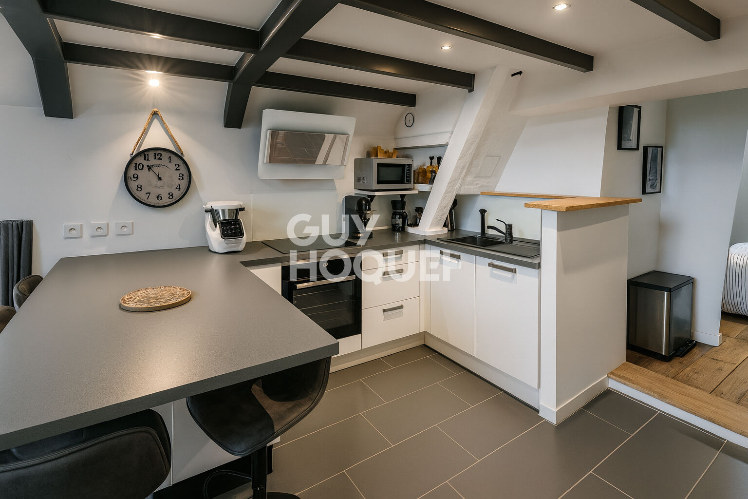 APPARTEMENT DE CHARME . DERNIER ÉTAGE  . RÉSIDENCE BOURGEOISE AU CALME ABSOLU . TASSIN-LA-DEMI-LUNE