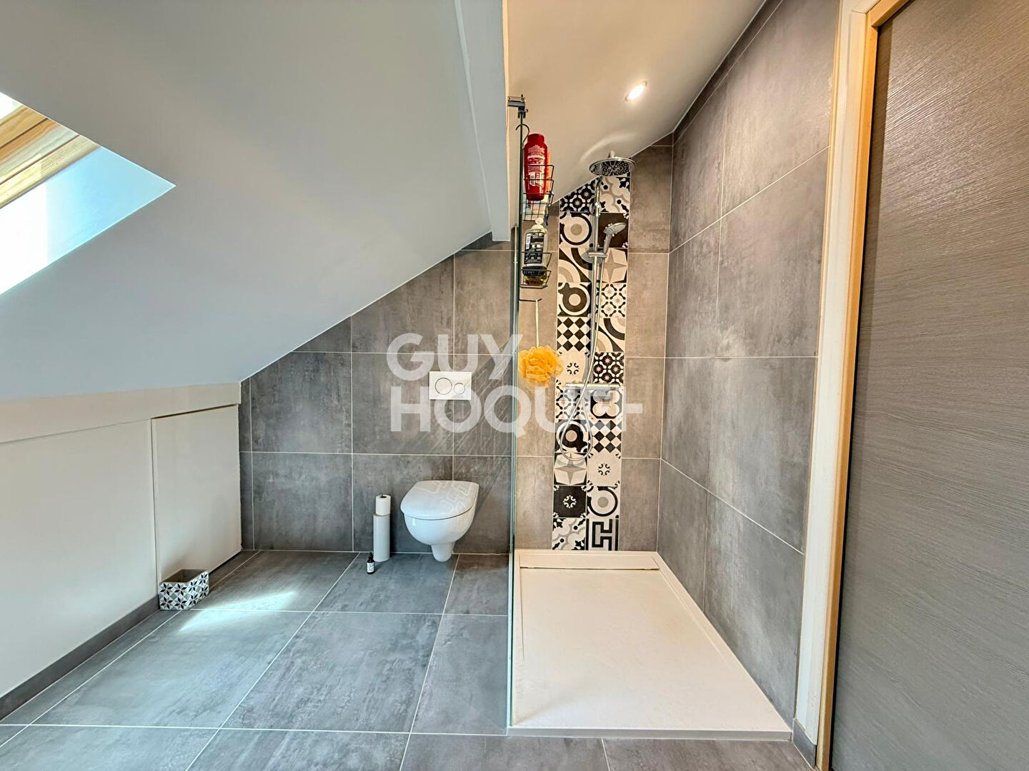 Appartement  Duplex Entrelacs 5 pièce(s) 196 m2