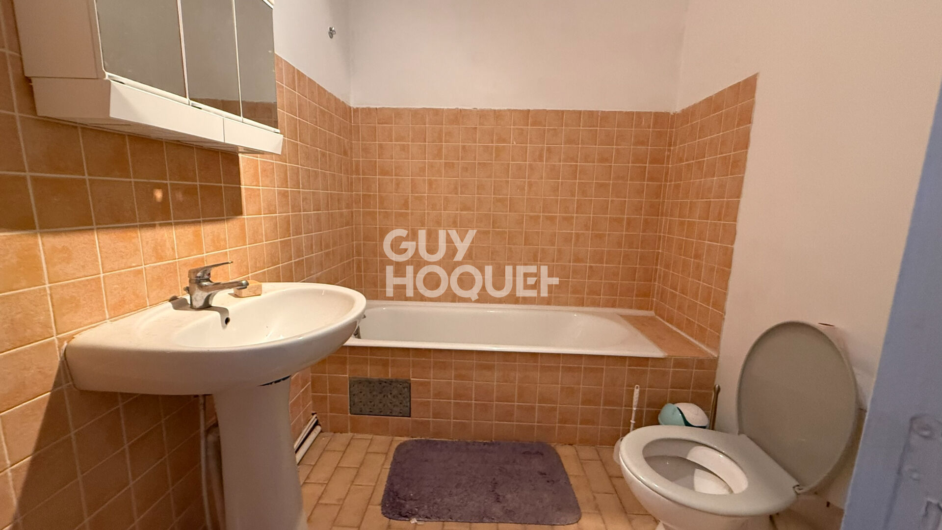 Appartement Loupian T4 meublé avec jardin et parking