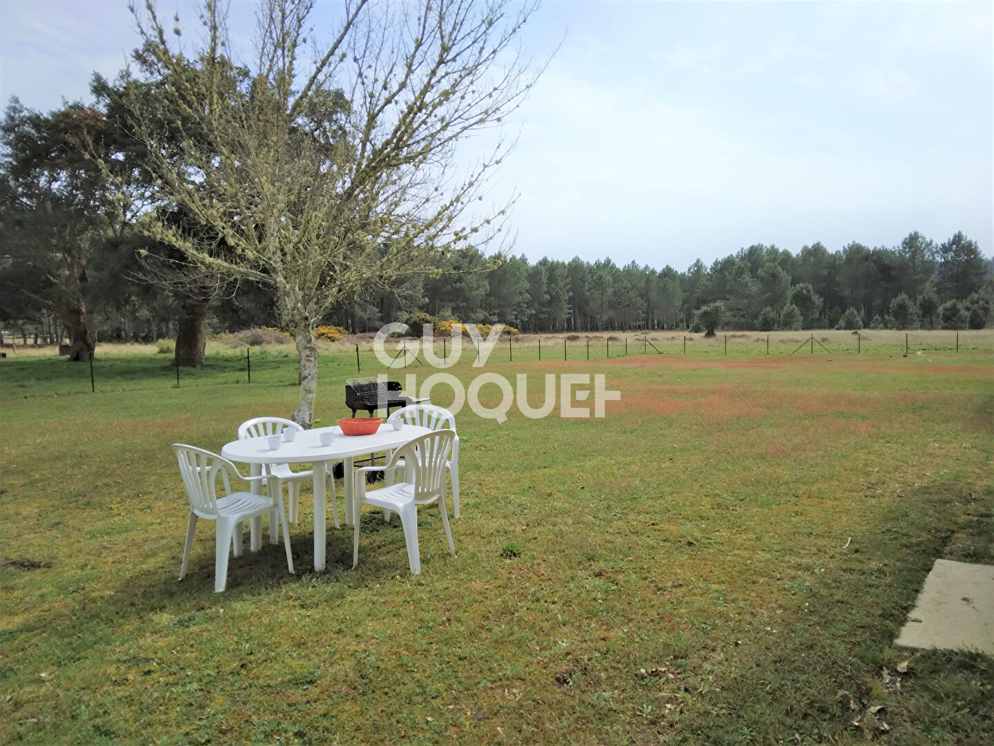 FROUAS NORD - Appartement de 4 pièces  dans un corps de ferme en bordure de forêt