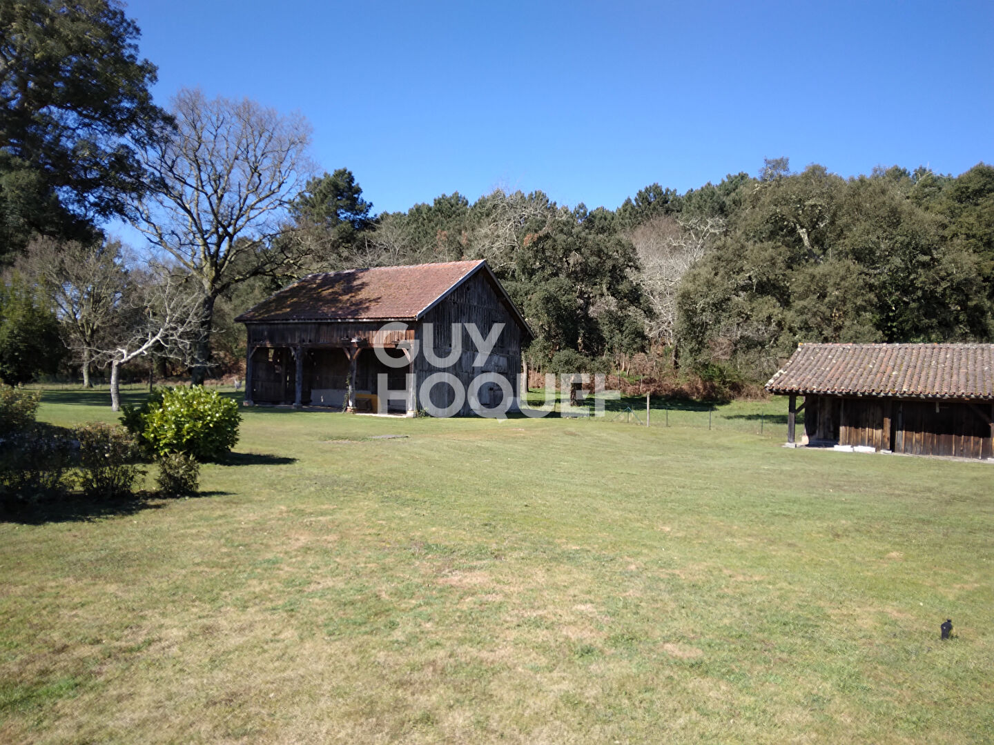 LE  PETIT FROUAS SUD - Appartement 3 couchages dans un corps de ferme en bordure de forêt