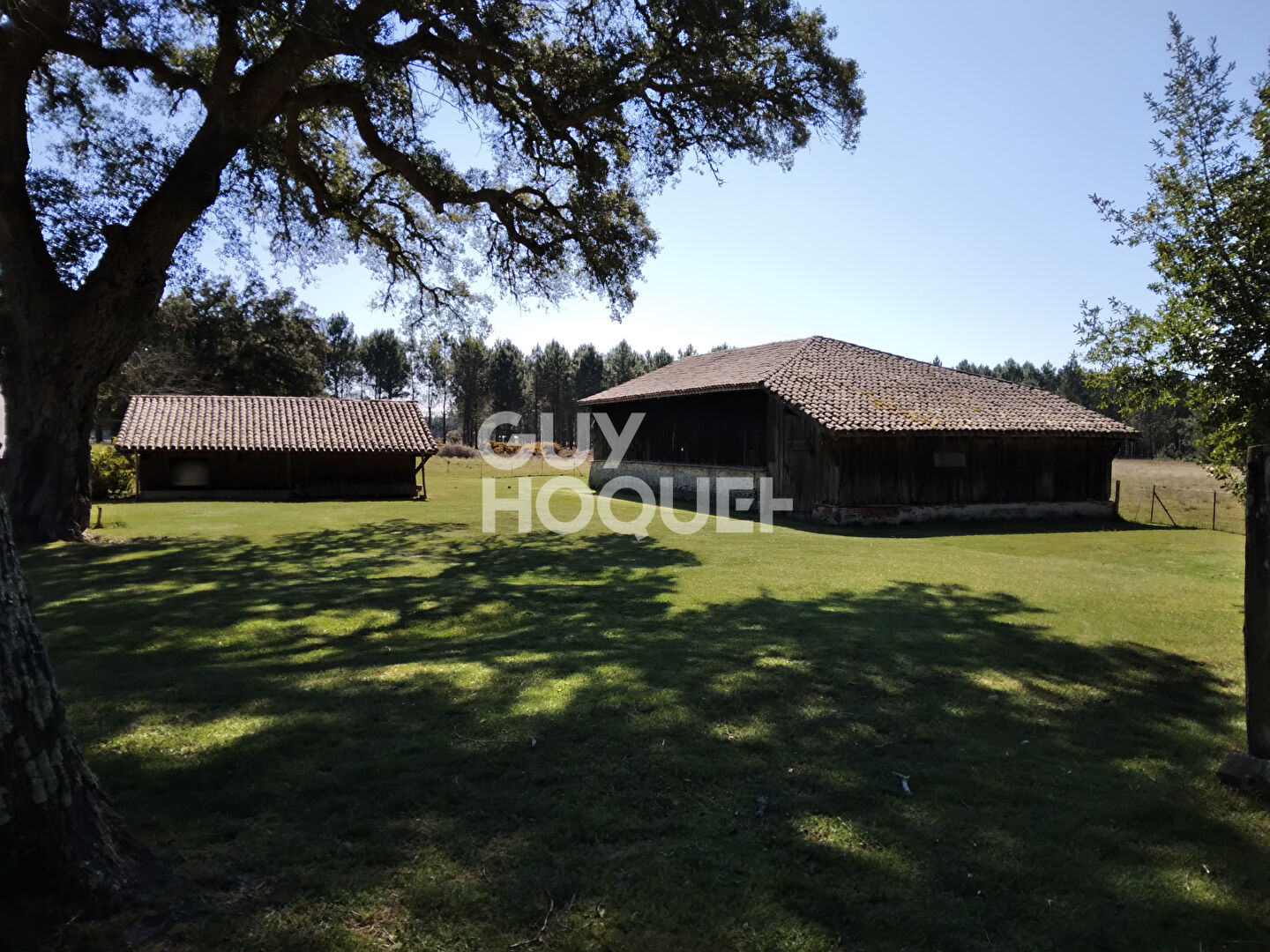 LE  PETIT FROUAS SUD - Appartement 3 couchages dans un corps de ferme en bordure de forêt