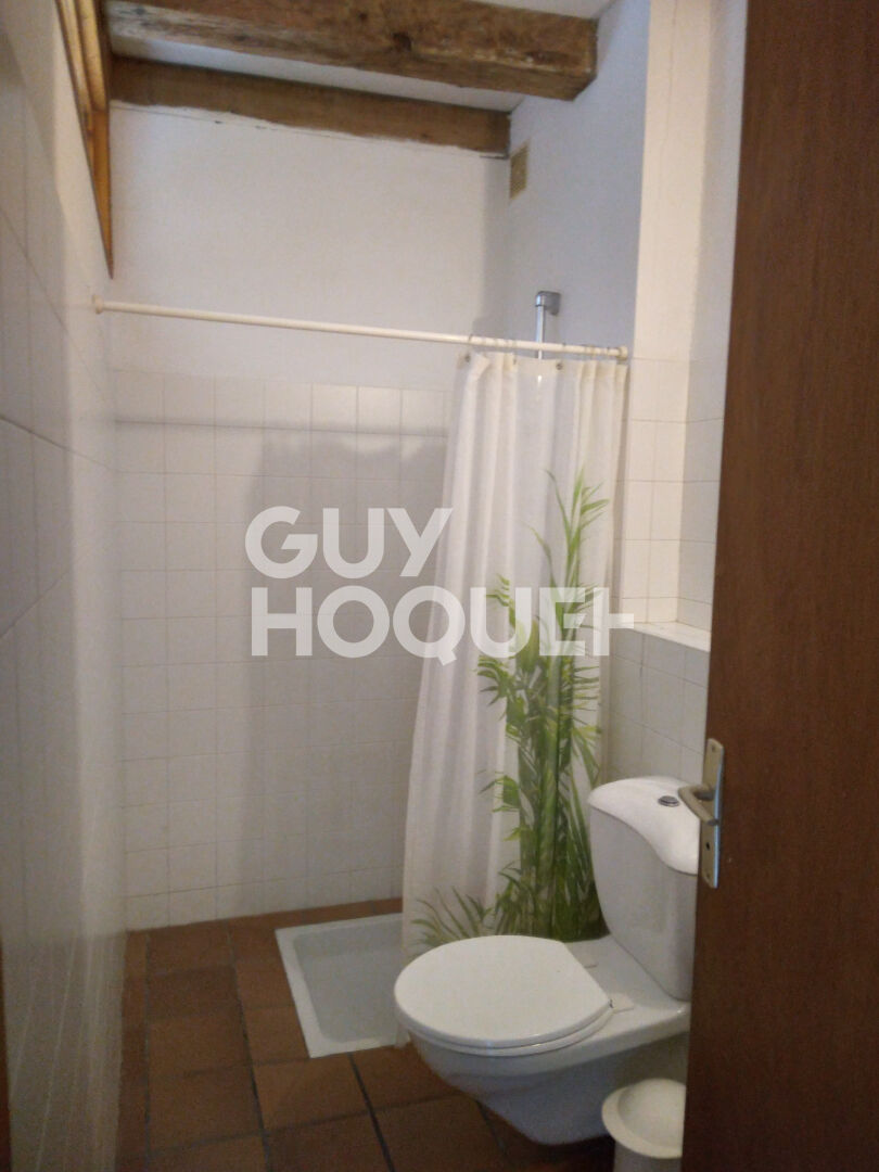 FROUAS CENTRE Appartement de 6 pièces  dans un corps de ferme en bordure de forêt