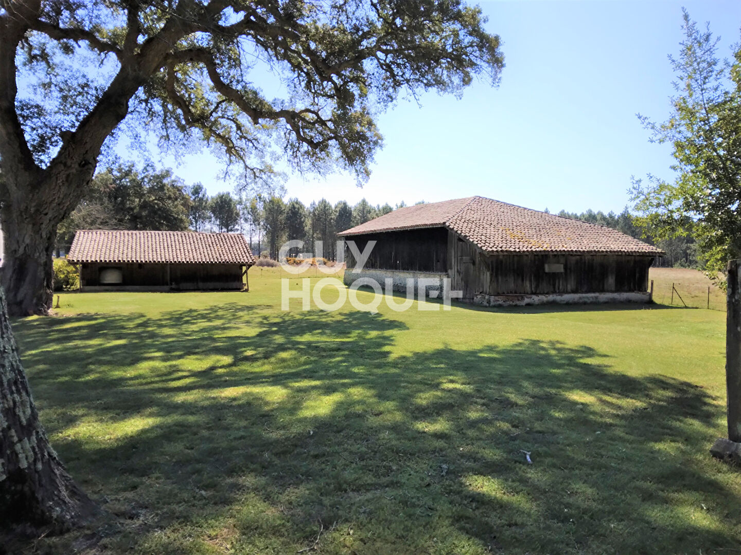 FROUAS CENTRE Appartement de 6 pièces  dans un corps de ferme en bordure de forêt