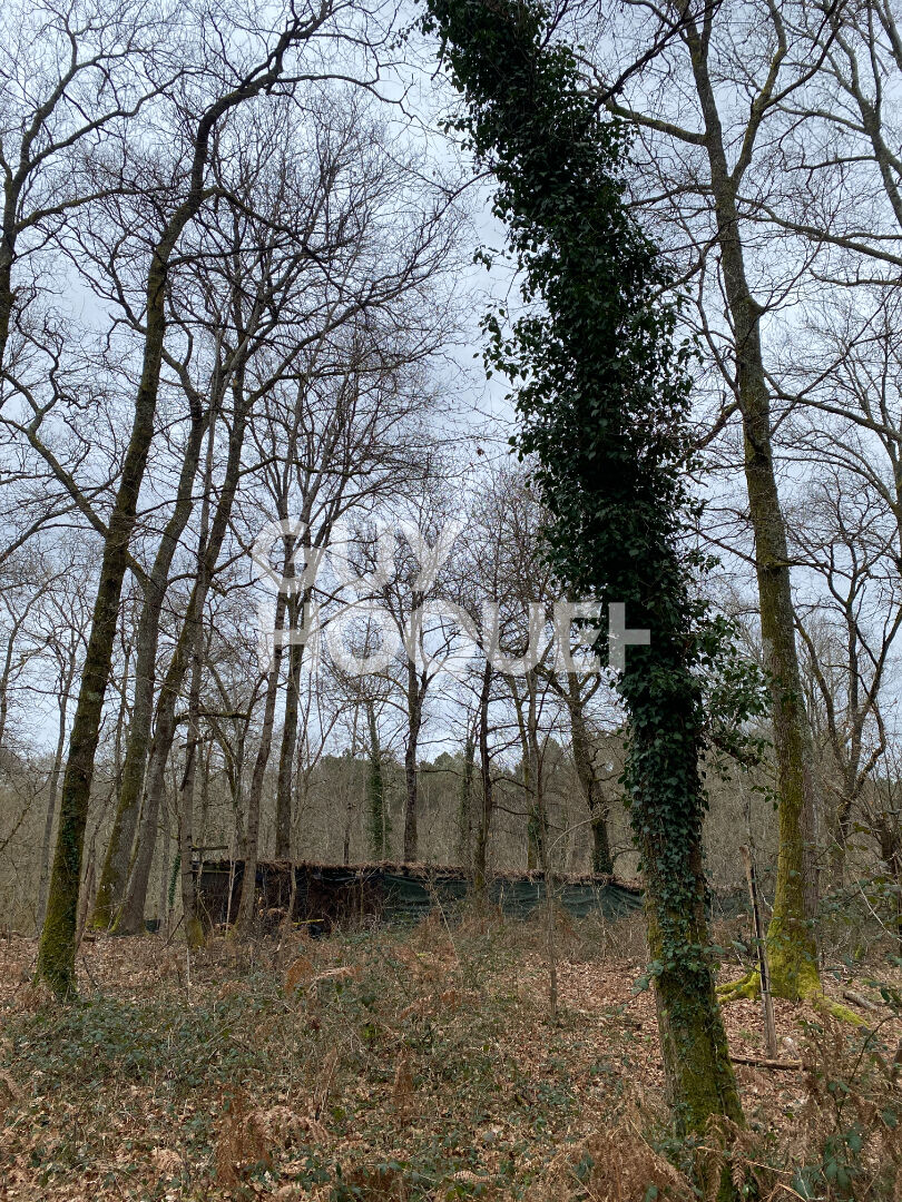 Terrain forestier de 13 hectares