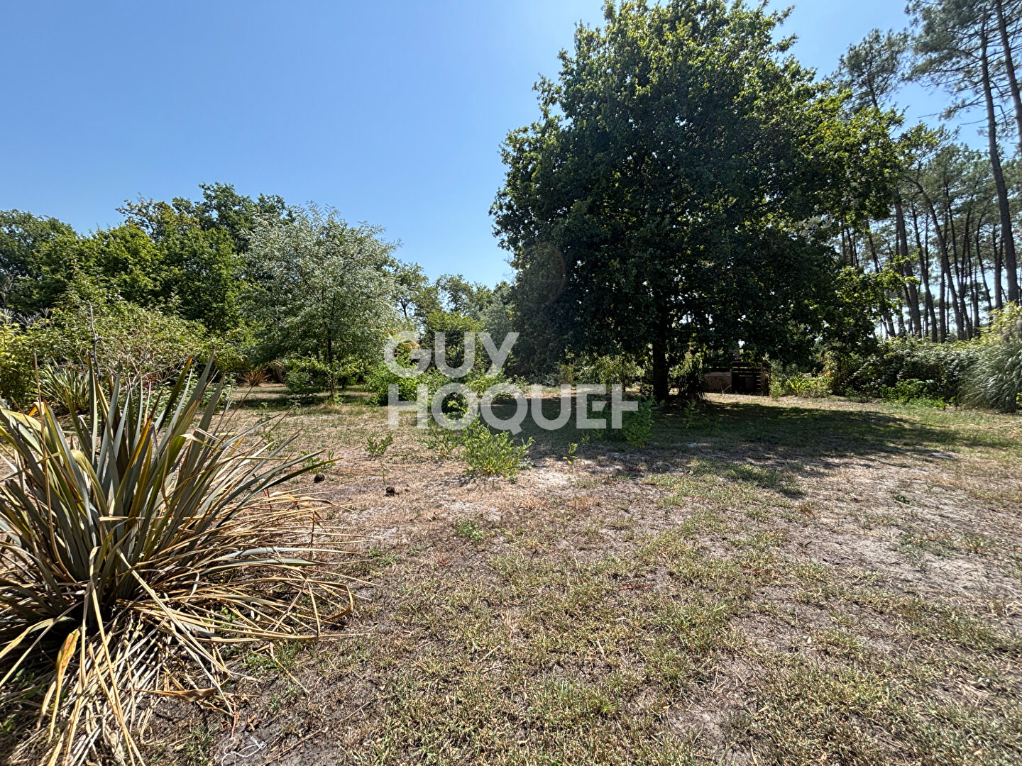 Terrain hors lotissement à Onesse Laharie d'une surface de 1284 m²