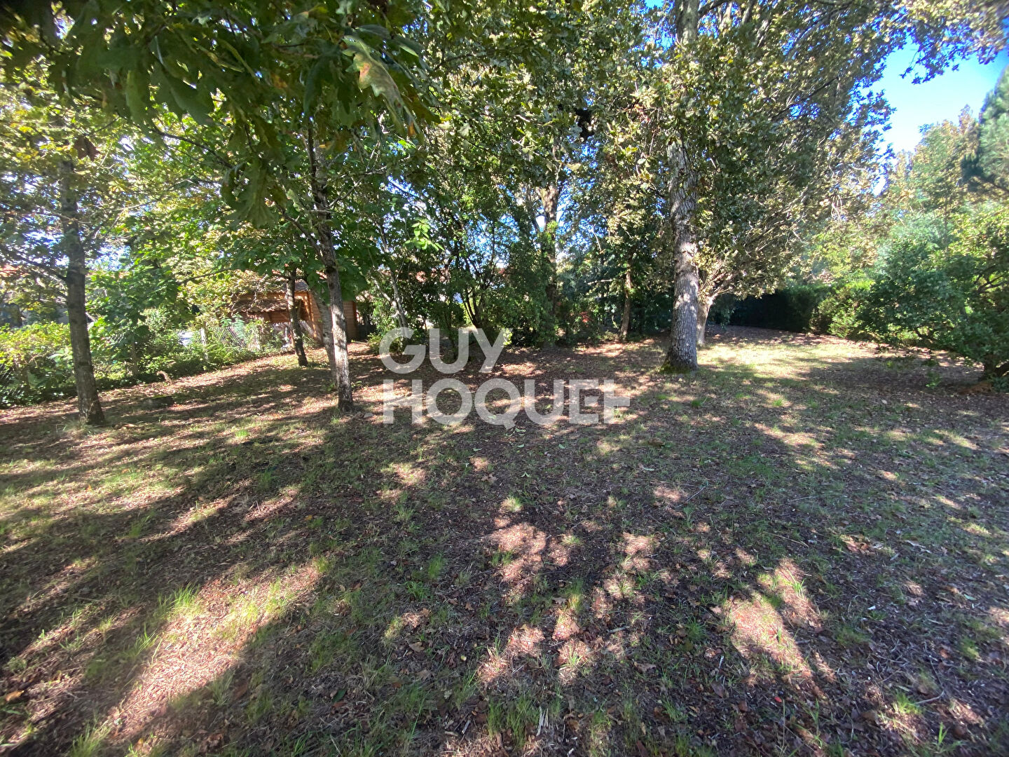 Maison de 72 m² sur un terrain arboré de 1200 m²