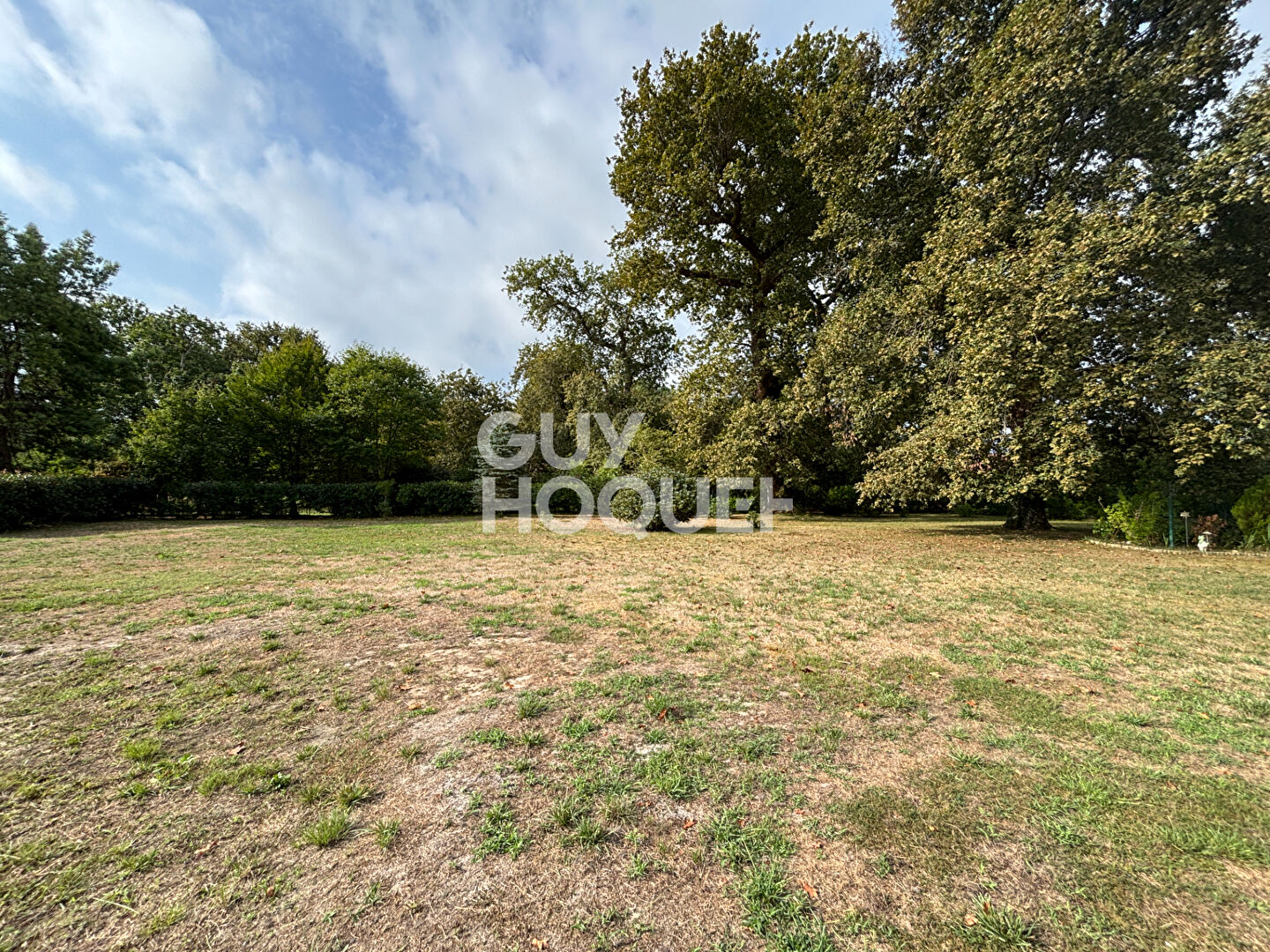 Belle propriété entourée de nature Onesse-Laharie