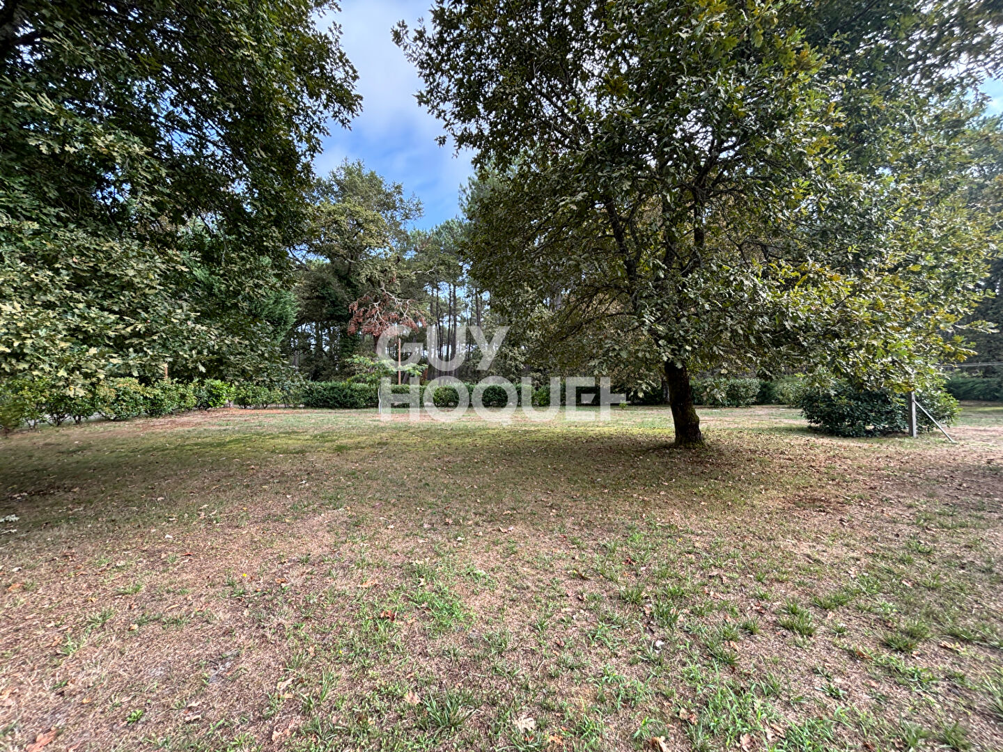 Belle propriété entourée de nature Onesse-Laharie