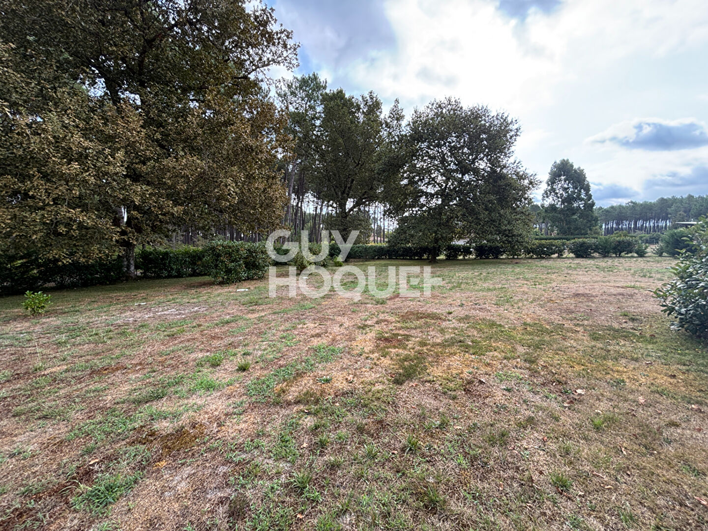 Belle propriété entourée de nature Onesse-Laharie
