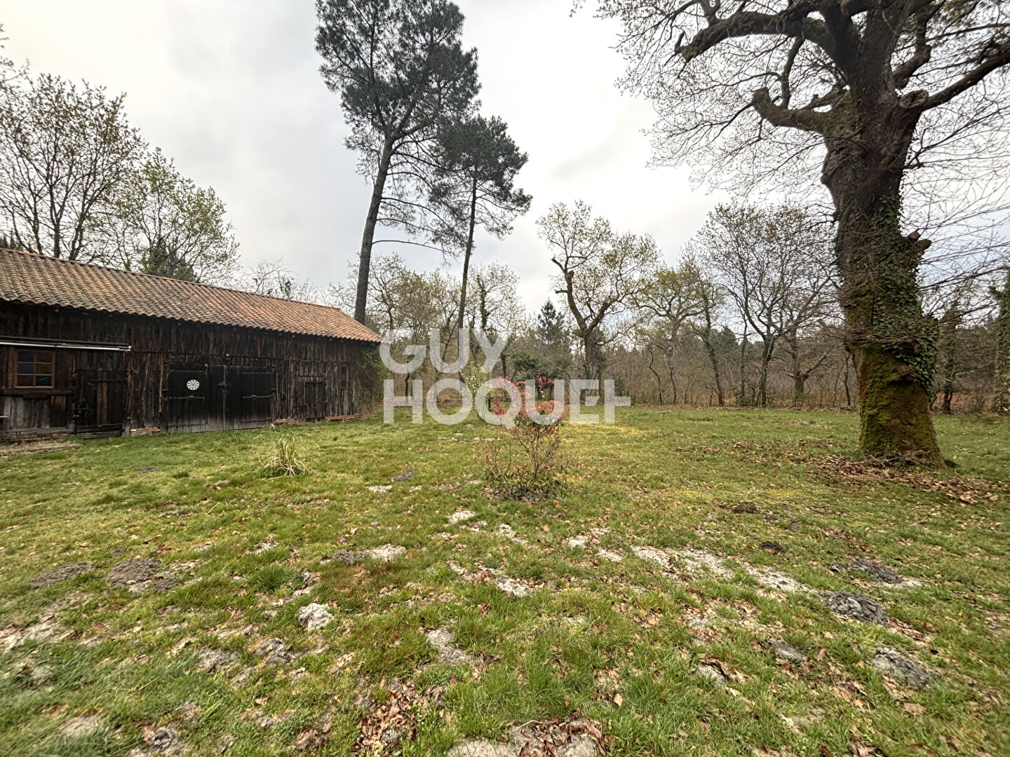 Maison Landaise de caractère sur grande parcelle arborée