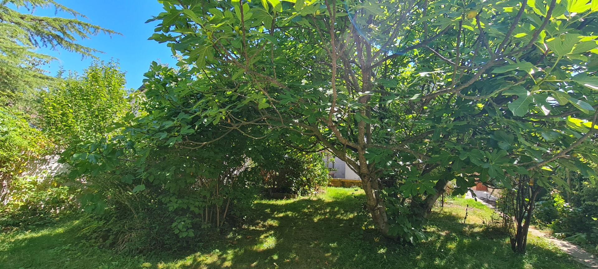 Maison 3 chambres- sous sol total