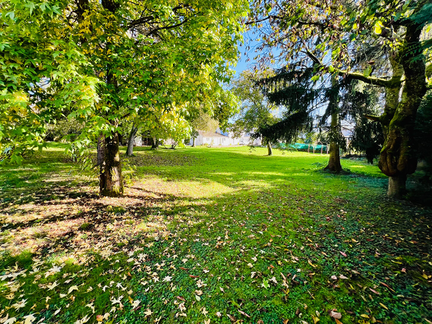 Maison Montge En Goele 8 pièce(s) 196 m²