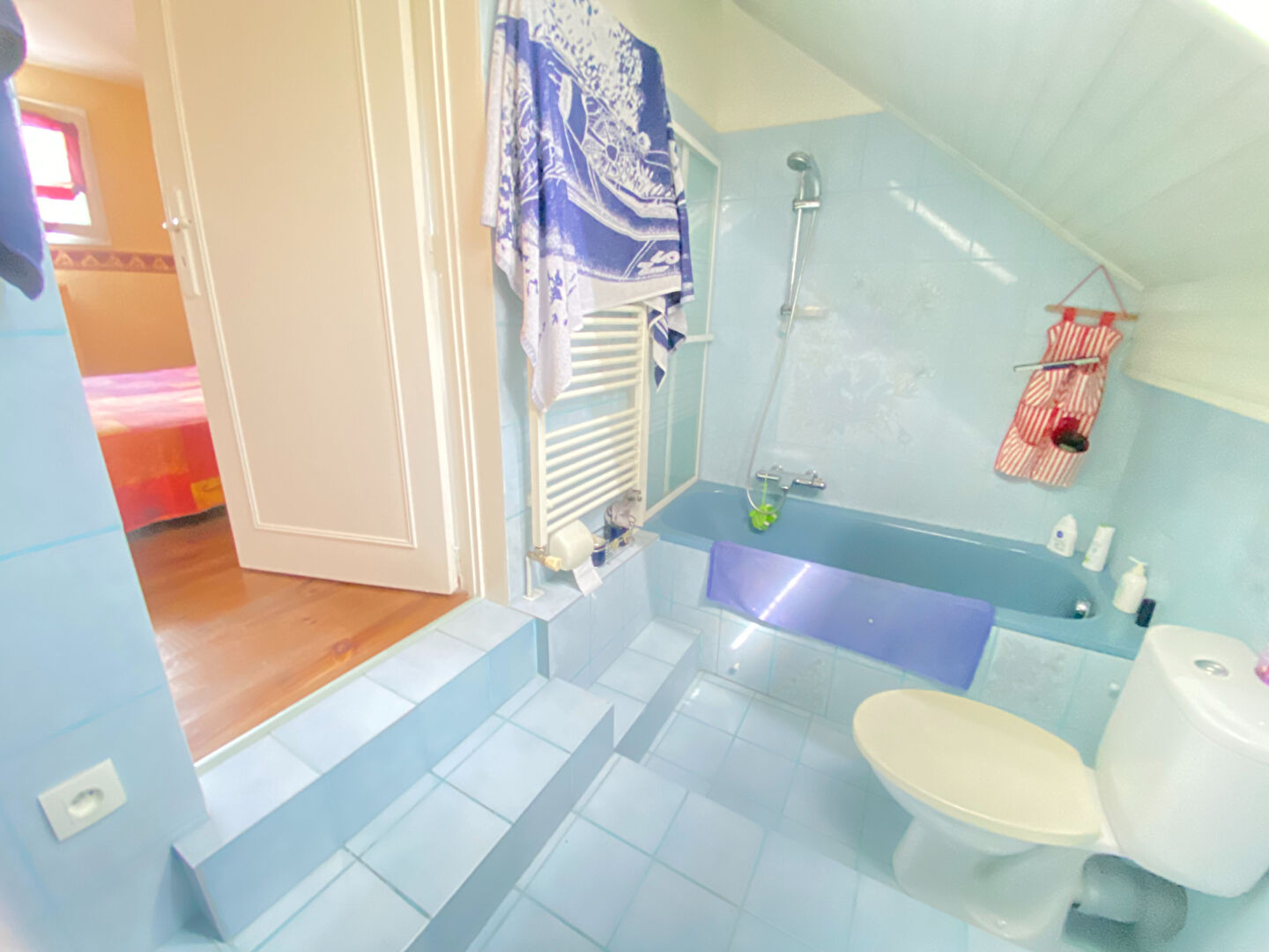 TREMBLAY - Bois Saint Denis