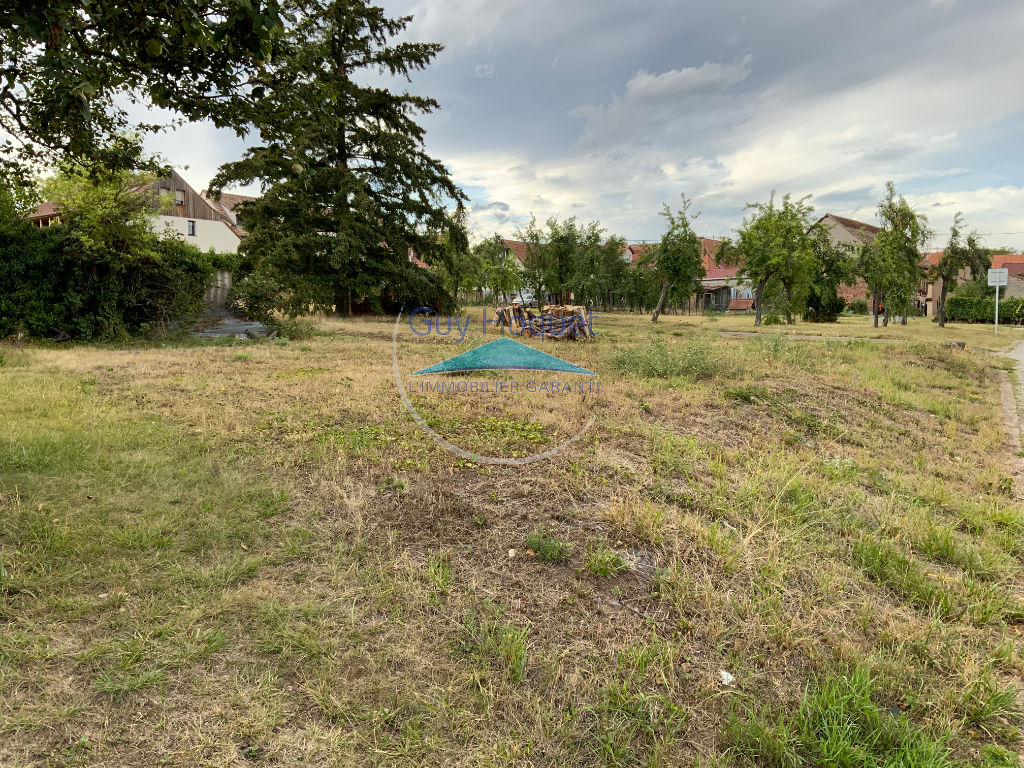 TERRAIN CONSTRUCTIBLE Bernardswiller !