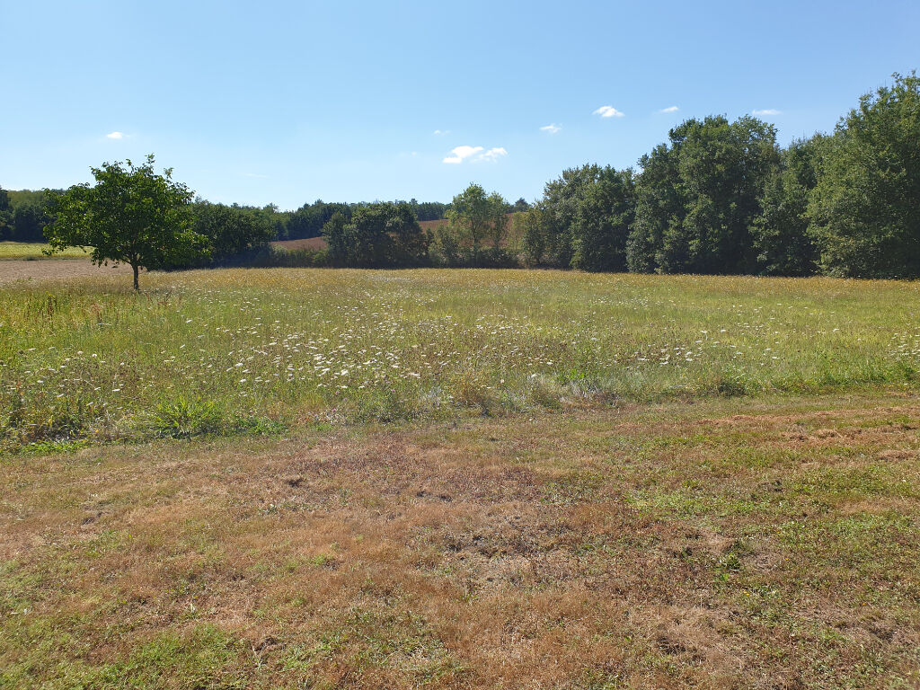 Terrain environ de 5500 m2
