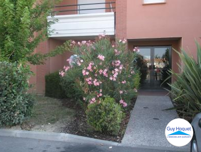Appartement Montech 2 pièce(s) 35 m2