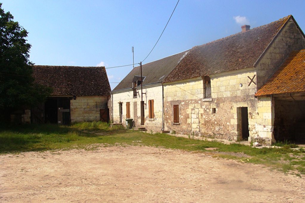 Entre Amboise et Montrichard